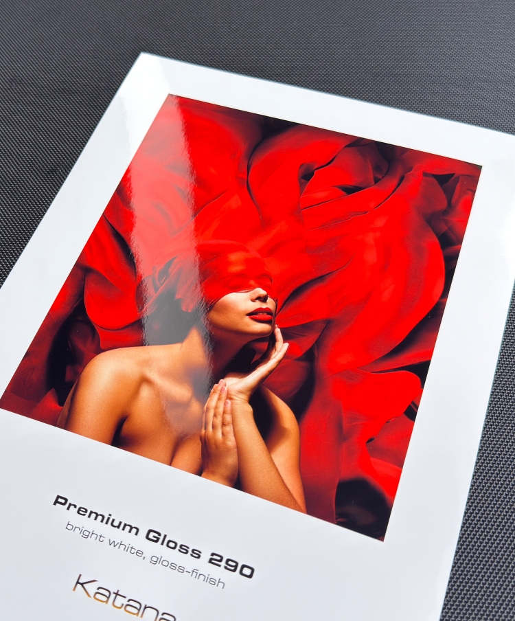 Premium Gloss 290