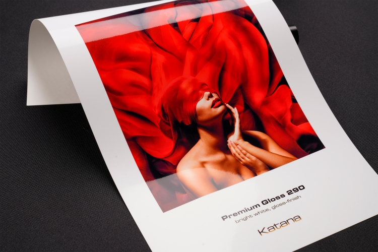 Premium Gloss 290